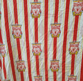Custom Liverpool bag